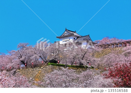 【岡山県】桜咲く春の津山城（備中櫓） 135516588