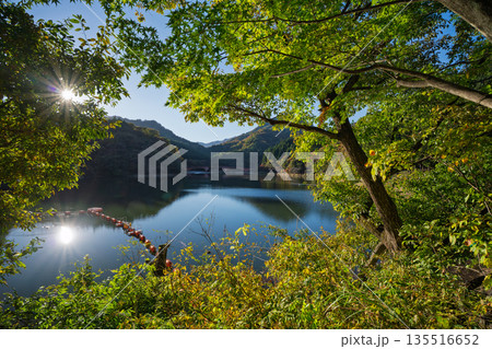 快晴の碓氷湖　群馬県安中市 135516652