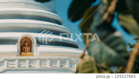 Buddha statue in temple niche with blue and white dome architecture at Rumassala Peace Pagoda Buddha statue in temple niche with blue and white dome architecture at Rumassala Peace Pagoda 135517003