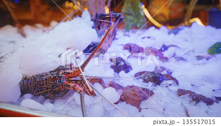 Fresh Lobster and Seafood Display on Ice Market Sri Lanka 135517015
