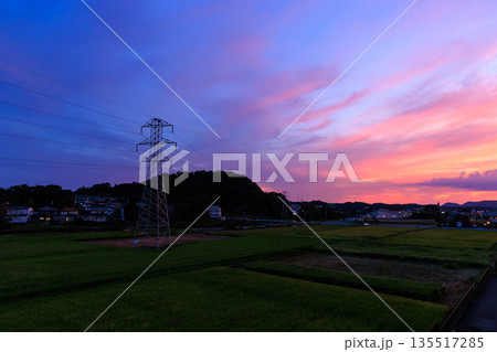 送電鉄塔と田園風景に広がるピンクと紫の幻想的な夕焼け空 135517285