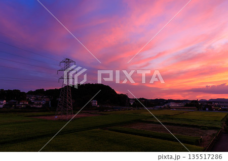 送電鉄塔と田園風景に広がるピンクと紫の幻想的な夕焼け空 送電鉄塔と田園風景に広がるピンクと紫の幻想的な夕焼け空 135517286