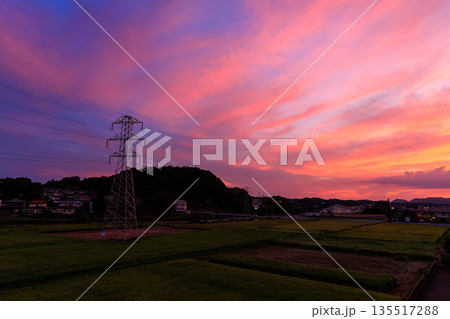 送電鉄塔と田園風景に広がるピンクと紫の幻想的な夕焼け空 送電鉄塔と田園風景に広がるピンクと紫の幻想的な夕焼け空 135517288