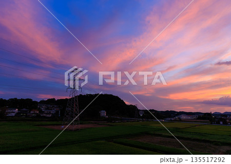 送電鉄塔と田園風景に広がるピンクと紫の幻想的な夕焼け空 送電鉄塔と田園風景に広がるピンクと紫の幻想的な夕焼け空 135517292
