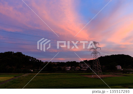 送電鉄塔と田園風景に広がるピンクと紫の幻想的な夕焼け空 送電鉄塔と田園風景に広がるピンクと紫の幻想的な夕焼け空 135517293