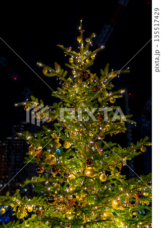 東京のクリスマスの夜 イルミネーション 丸の内 東京のクリスマスの夜 イルミネーション 丸の内 135517429