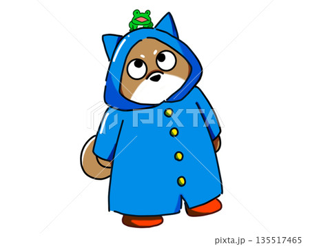 頭の上にカエルが乗っている柴犬イラスト 135517465