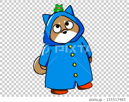 頭の上にカエルが乗っている柴犬イラスト 135517465