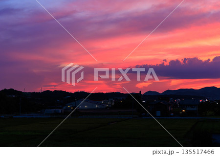 田園と町並みに広がるピンクと紫が美しい幻想的な夕焼け空 135517466