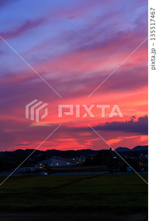 田園と町並みに広がるピンクと紫が美しい幻想的な夕焼け空 田園と町並みに広がるピンクと紫が美しい幻想的な夕焼け空 135517467