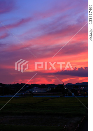 田園と町並みに広がるピンクと紫が美しい幻想的な夕焼け空 田園と町並みに広がるピンクと紫が美しい幻想的な夕焼け空 135517469