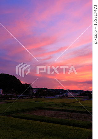 田園と町並みに広がるピンクと紫が美しい幻想的な夕焼け空 135517473