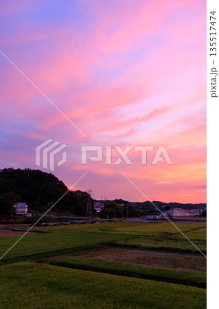 田園と町並みに広がるピンクと紫が美しい幻想的な夕焼け空 田園と町並みに広がるピンクと紫が美しい幻想的な夕焼け空 135517474