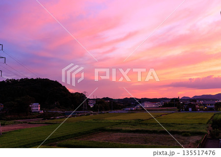田園と町並みに広がるピンクと紫が美しい幻想的な夕焼け空 田園と町並みに広がるピンクと紫が美しい幻想的な夕焼け空 135517476