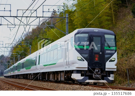 中央本線から成田へ向かう初詣列車(E257系) 中央本線から成田へ向かう初詣列車(E257系) 135517686