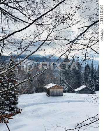 Winter alpine village Bavaria Zugspitze Winter alpine village Bavaria Zugspitze 135518166