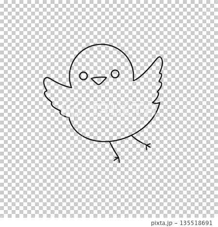 A white bird with a black beak and black feet is flying in the air 135518691