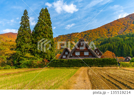 白川郷　紅葉　絶景 135519214