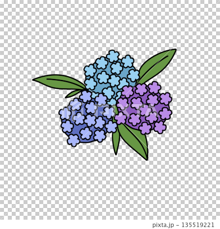 A blue and purple flower with green leaves 135519221