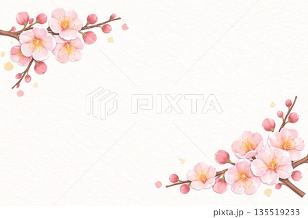 フレーム素材　梅　梅の花 135519233