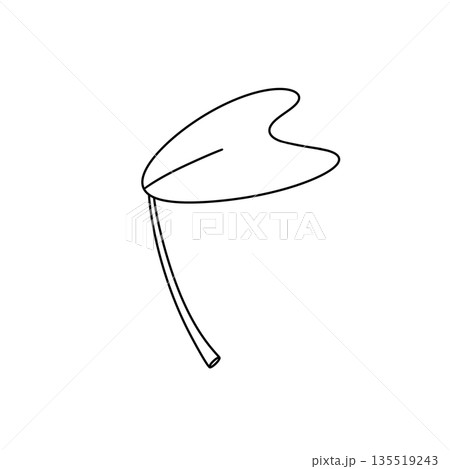 A leaf is drawn in black and white A leaf is drawn in black and white 135519243