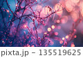 A nature in winter or early spring, featuring thin branches silhouetted by vibrant, warm, and cool-toned out-of-focus light spheres, creating a beautiful, soft atmosphere. 135519625