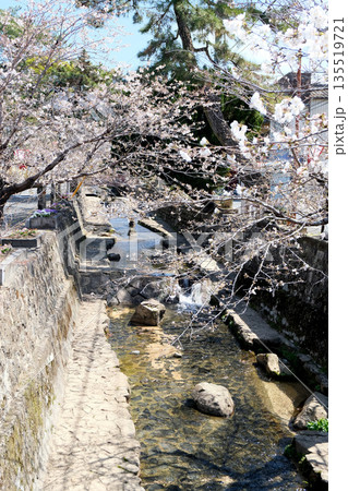 岡山県高梁市_紺屋川美観地区1_2025年3月 岡山県高梁市_紺屋川美観地区1_2025年3月 135519721