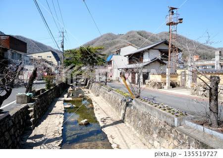 岡山県高梁市_紺屋川美観地区7_2025年3月 岡山県高梁市_紺屋川美観地区7_2025年3月 135519727