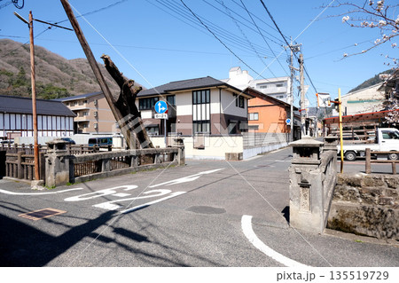 岡山県高梁市_紺屋川美観地区9_2025年3月 135519729