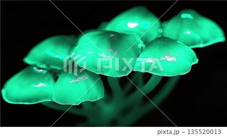 Exploring Bright Mushrooms in a Dark Environment Using Fluorescence Techniques for Discovery Exploring Bright Mushrooms in a Dark Environment Using Fluorescence Techniques for Discovery 135520013
