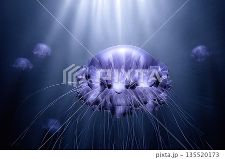 Exploring Deep Sea Mysticism With Glowing Jellyfish in Dark Ocean Waters 135520173