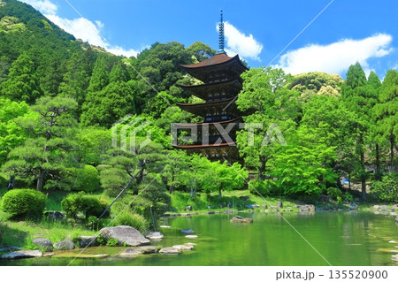 【山口県】晴天の瑠璃光寺の五重塔と塔影の池 135520900