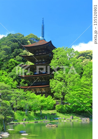 【山口県】晴天の瑠璃光寺の五重塔と塔影の池 135520901