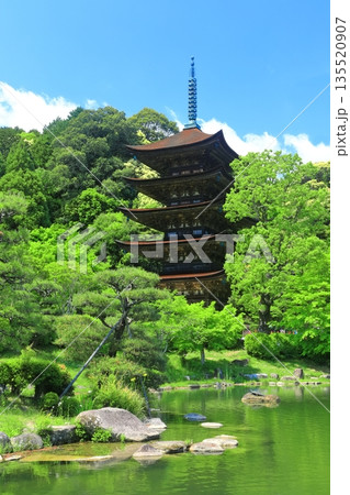 【山口県】晴天の瑠璃光寺の五重塔と塔影の池 135520907