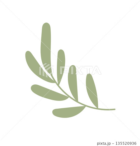 Simple green branch drawing with soft curves, useful for eco design projects, neutral decorative elements, and calm nature inspired layouts 135520936