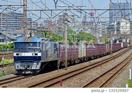 東海道本線 相模貨物 JR貨物 EF210-165(吹田) 東海道本線 相模貨物 JR貨物 EF210-165(吹田) 135520987