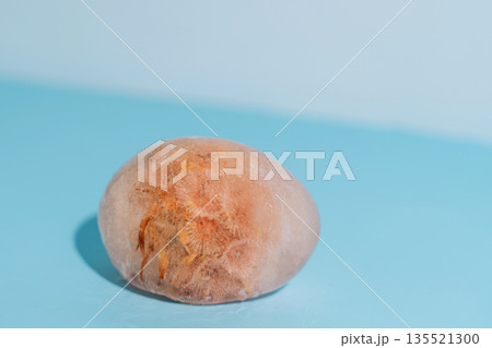 Single brown frozen egg in ice on blue background, minimal concept 135521300