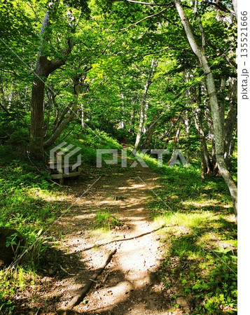 日本百名山 羅臼岳 日本百名山 羅臼岳 135521666