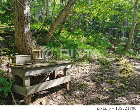 日本百名山 羅臼岳 日本百名山 羅臼岳 135521700