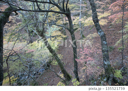 日本百名山 八経ヶ岳 奈良 135521739