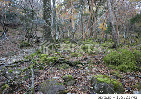 日本百名山 八経ヶ岳 奈良 日本百名山 八経ヶ岳 奈良 135521742