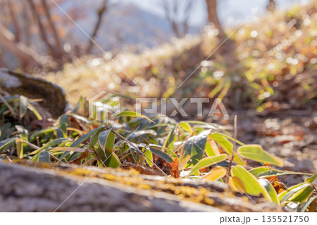 日本百名山 八経ヶ岳 奈良 日本百名山 八経ヶ岳 奈良 135521750