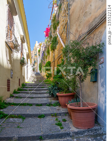 Narrow uphill street in Naples lined with small bushes and potted trees, bathed in warm summer sunlight, capturing the quiet charm of a southern Italian neighborhood. 135522114