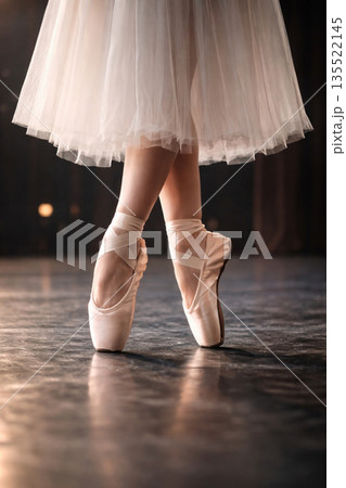 バレリーナ 135522145