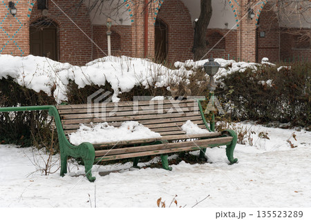 Tabby cat sits on wooden bench in courtyard of Blue Mosque, winter snow, dry branches, soft neutral tones create a calm urban mood Tabby cat sits on wooden bench in courtyard of Blue Mosque, winter snow, dry branches, soft neutral tones create a calm urban mood 135523289