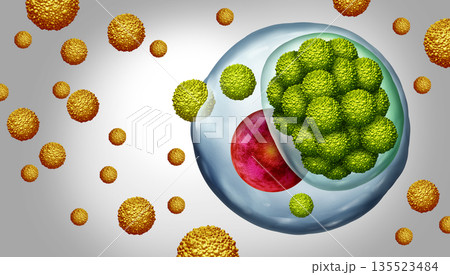 Chlamydia Infecting Human Cell Chlamydia Infecting Human Cell 135523484
