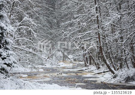 a calm winding river in a snowy forest, trees under the snow in the forest, peace and quiet, reflection on the water, without people 135523619