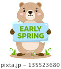 Vector illustration of groundhog with sign Early spring and delicate snowdrops. Character design of marmot. Happy Groundhog Day. 135523680