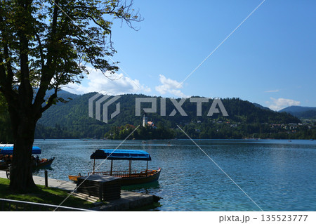 Scenic View of Lake Bled with Church on Bled Island, Slovenia 135523777