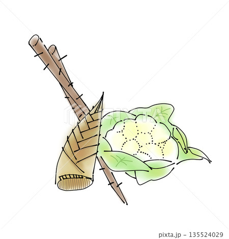 シンプルな食材イラスト|野菜・たけのこ・ごぼう・カリフラワー シンプルな食材イラスト|野菜・たけのこ・ごぼう・カリフラワー 135524029